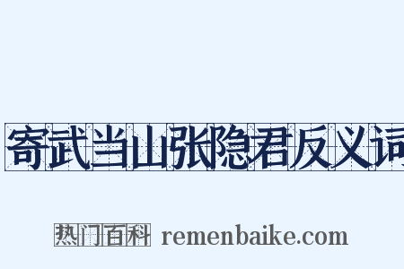 寄武当山张隐君反义词是什么意思的图片